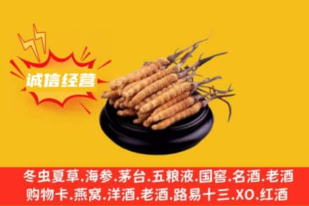 台东县回收冬虫夏草